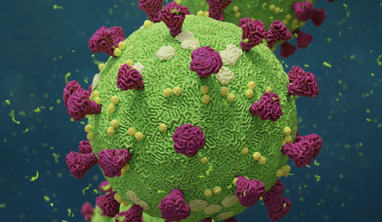 Read more about the article COVID-19 Update (coronavirus)